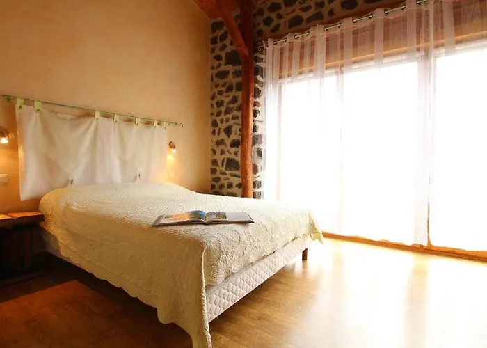 Saint-christophe-sur-dolaison, 4 Pièces, 8 Personnes - Fr-1-582-284 *